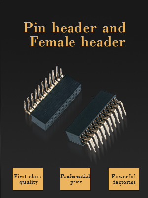 Pin and Female header 